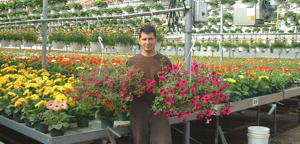 Spring time at Debono Greenhouses